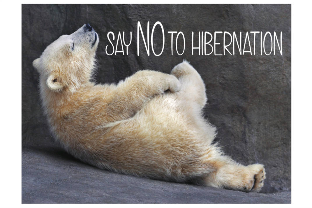 Say No to Hibernation