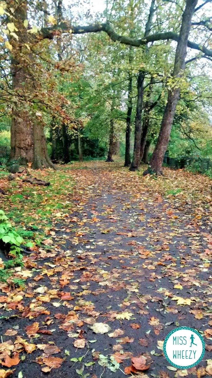 Trail vs Treadmill - The Wandle Trail