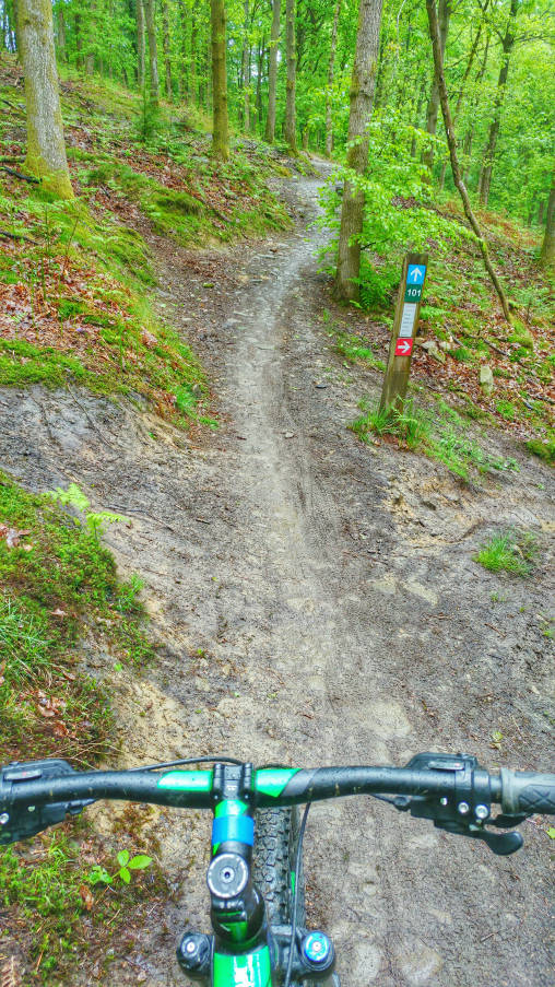 Mountain biking in the Forest of Dean