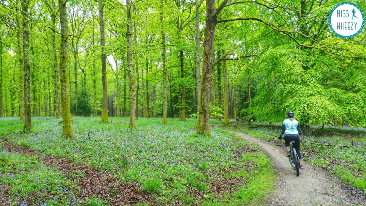 Camping and mountain biking in the Forest of Dean