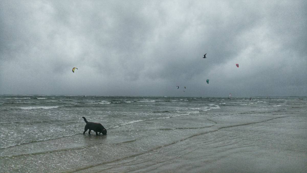 Beach trip to West Wittering