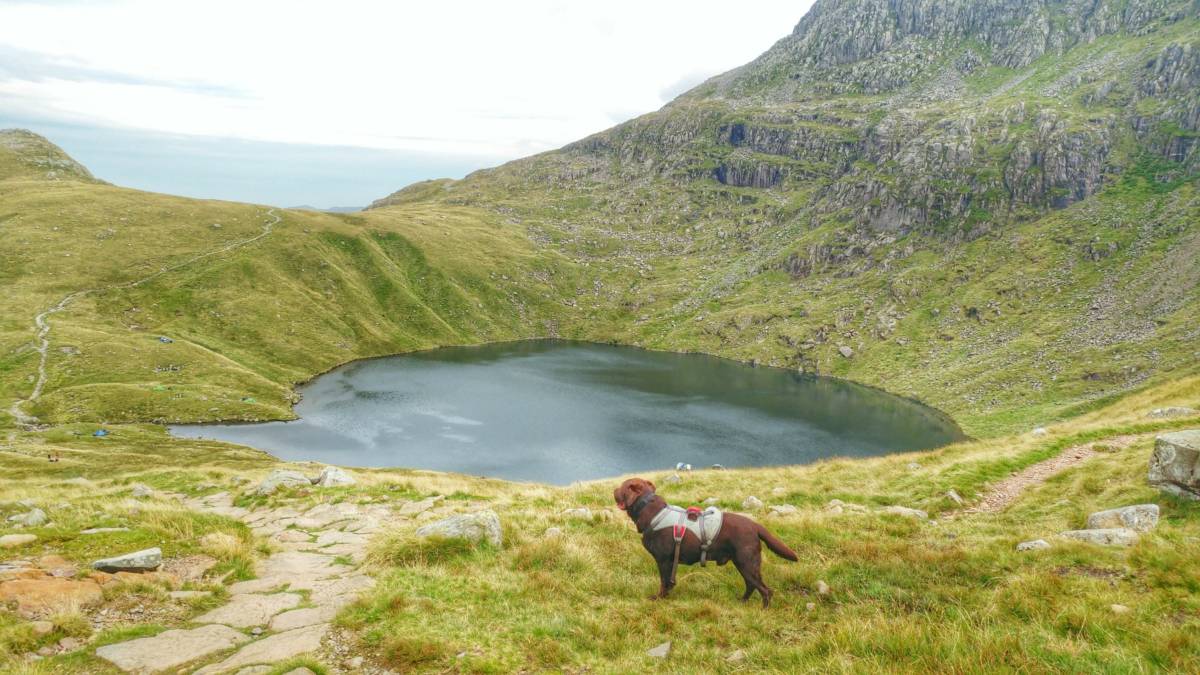 Hiking Lake District 6