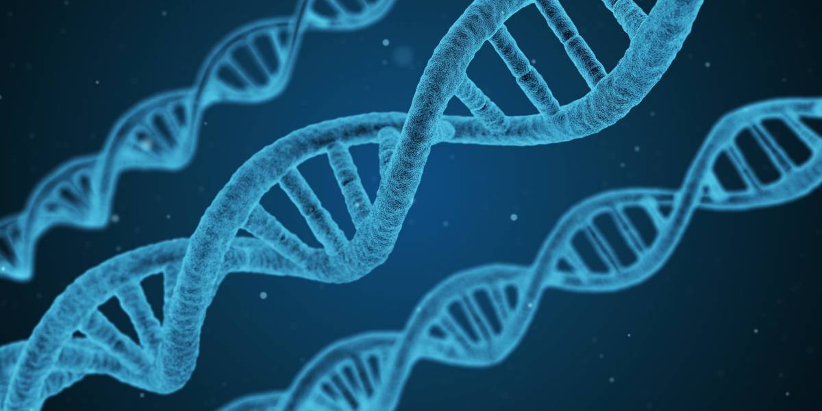 DNA testing for health and fitness