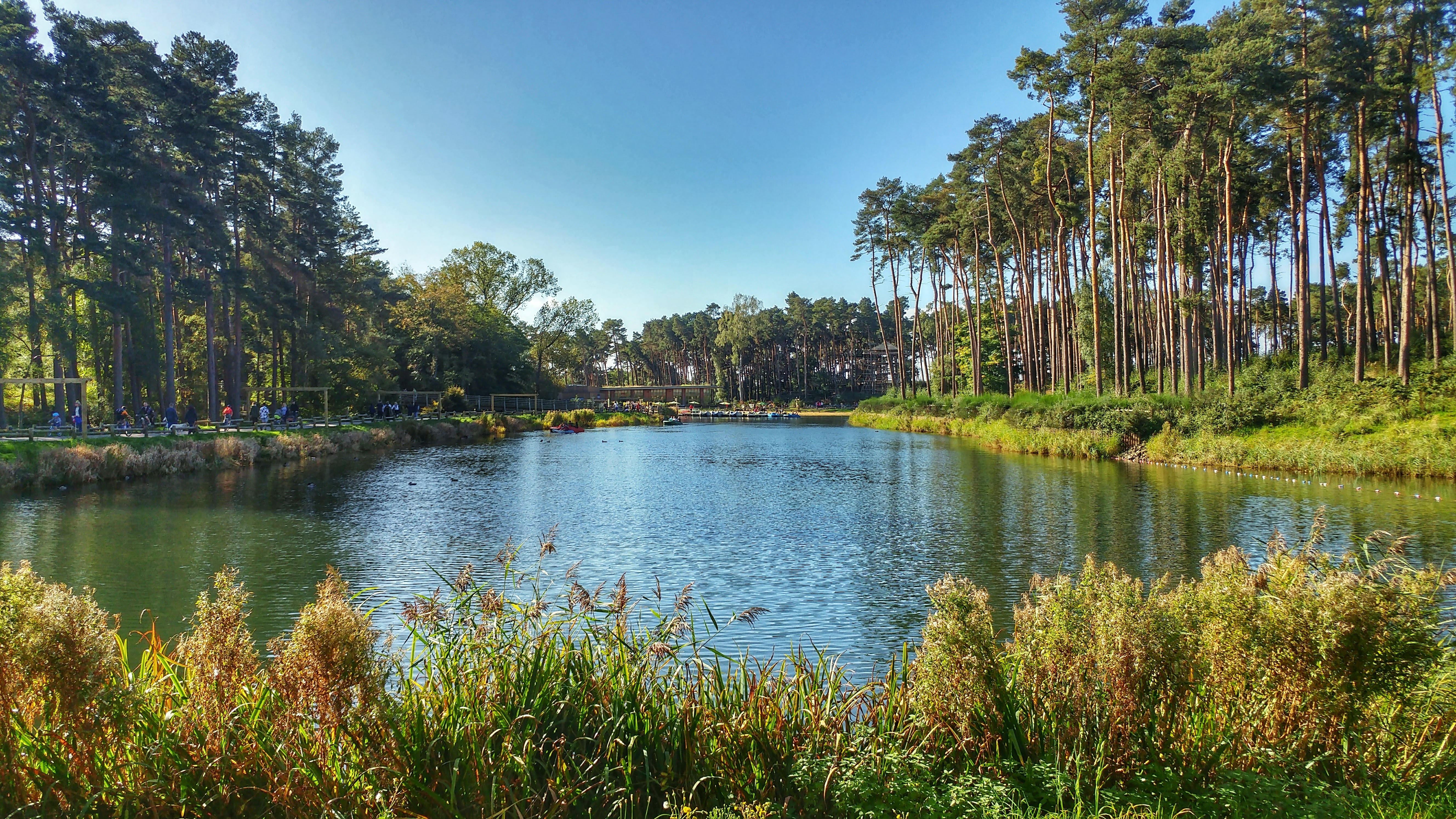 Weekend at Woburn CenterParcs