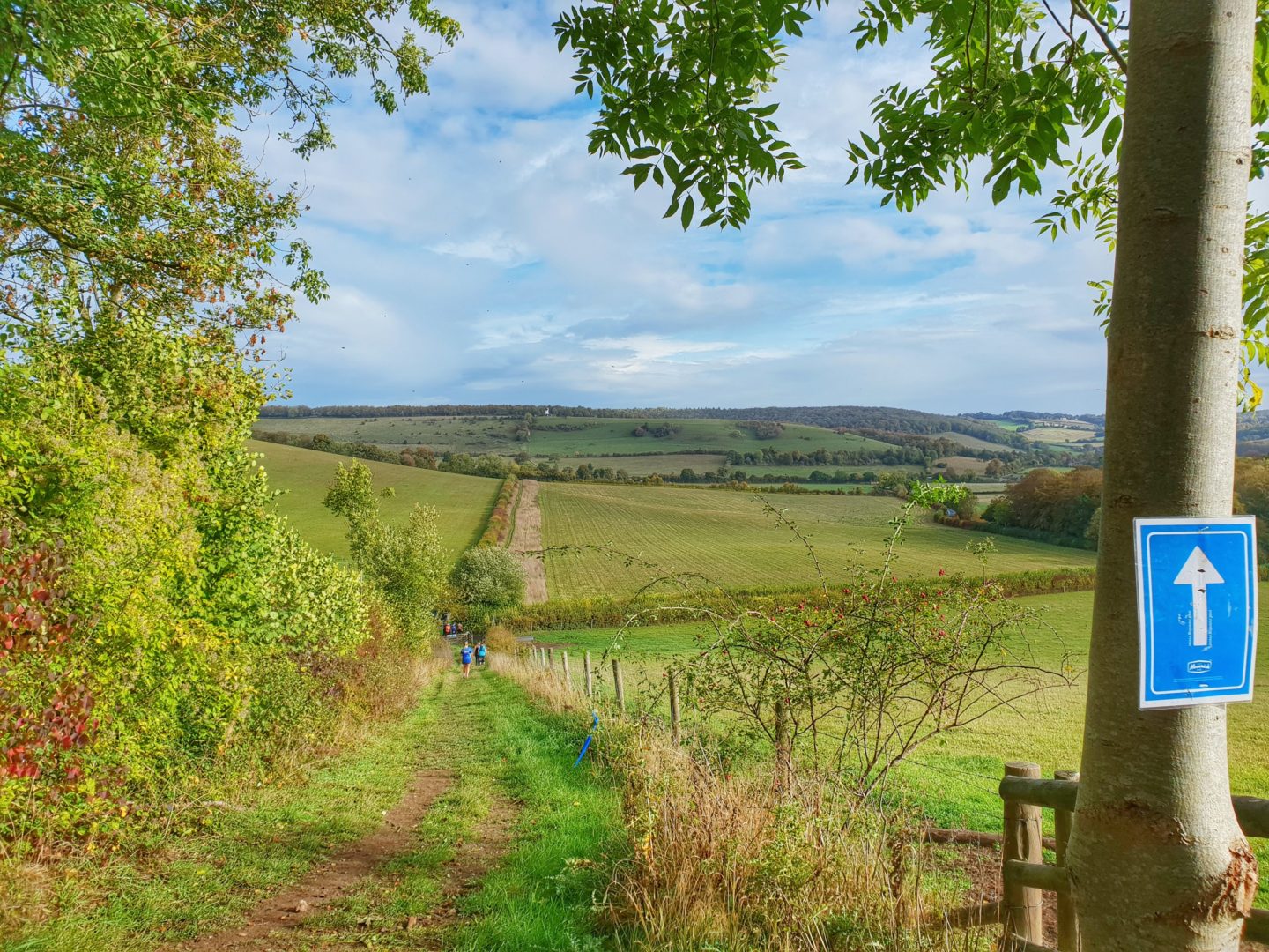 Maverick Oxfordshire Trail Race