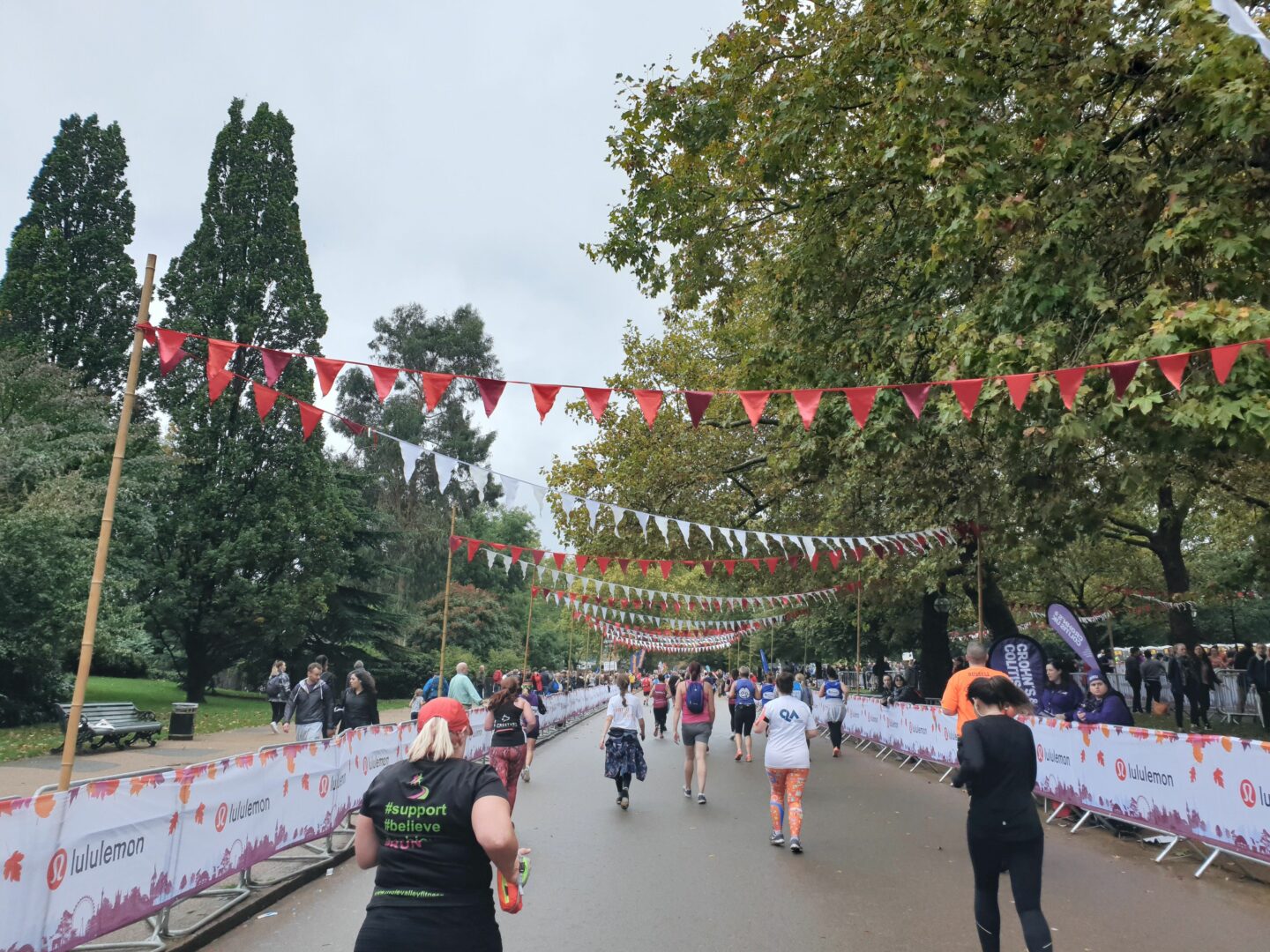 Flags lining the route through Hyde Park