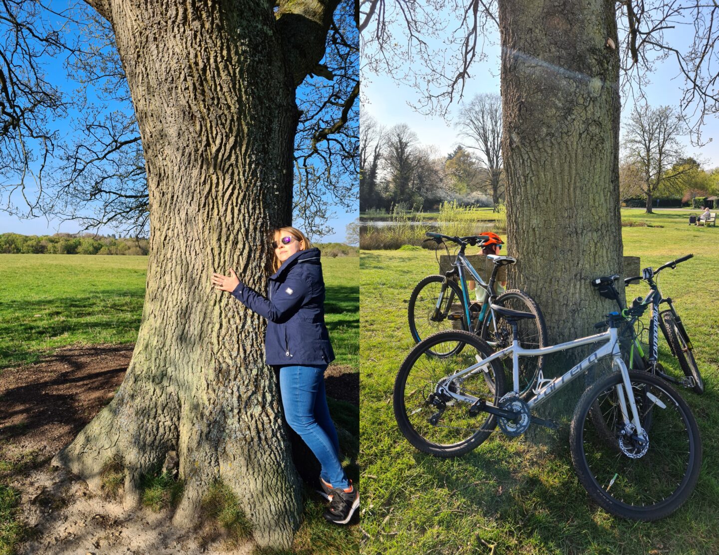 Hugging a tree on left, bikes on right