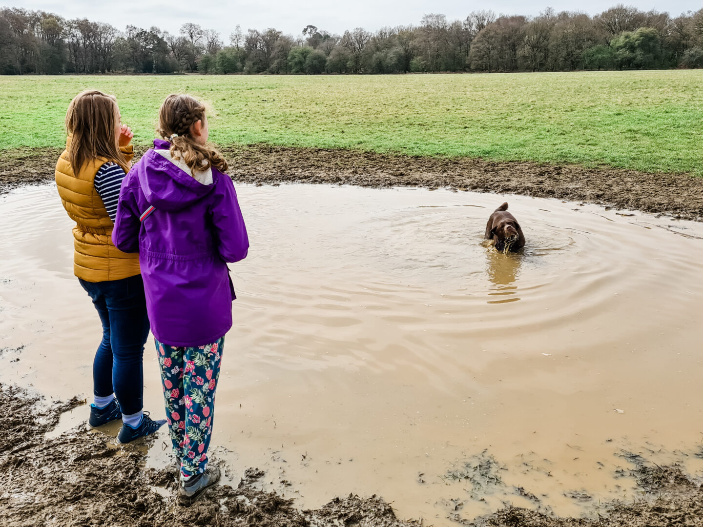 two women looking at a dog in a large muddy puddle