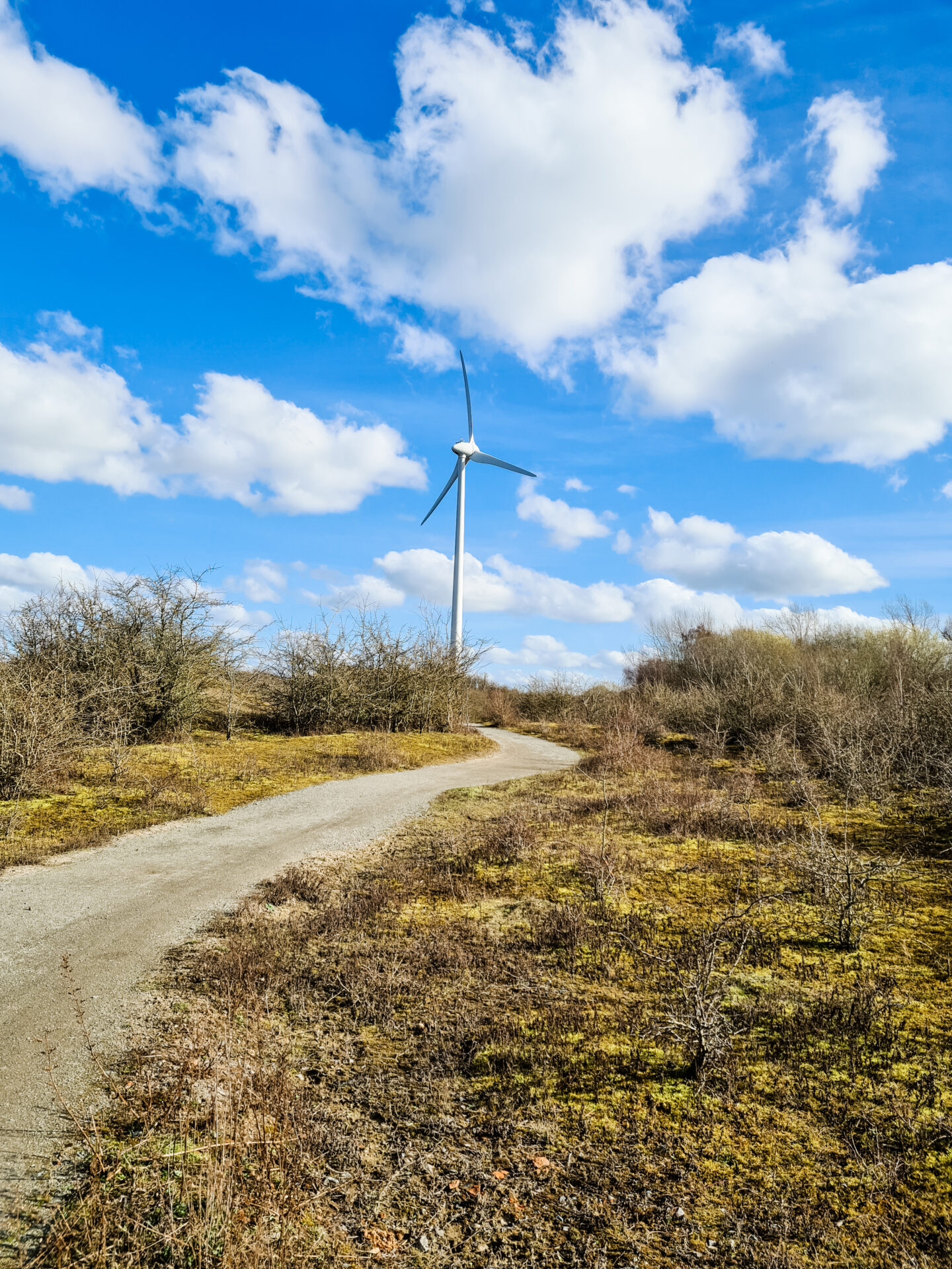 image of a wind turbine at the end of a path. the grass is brown and yellow with a bright blue sky and white clouds. 