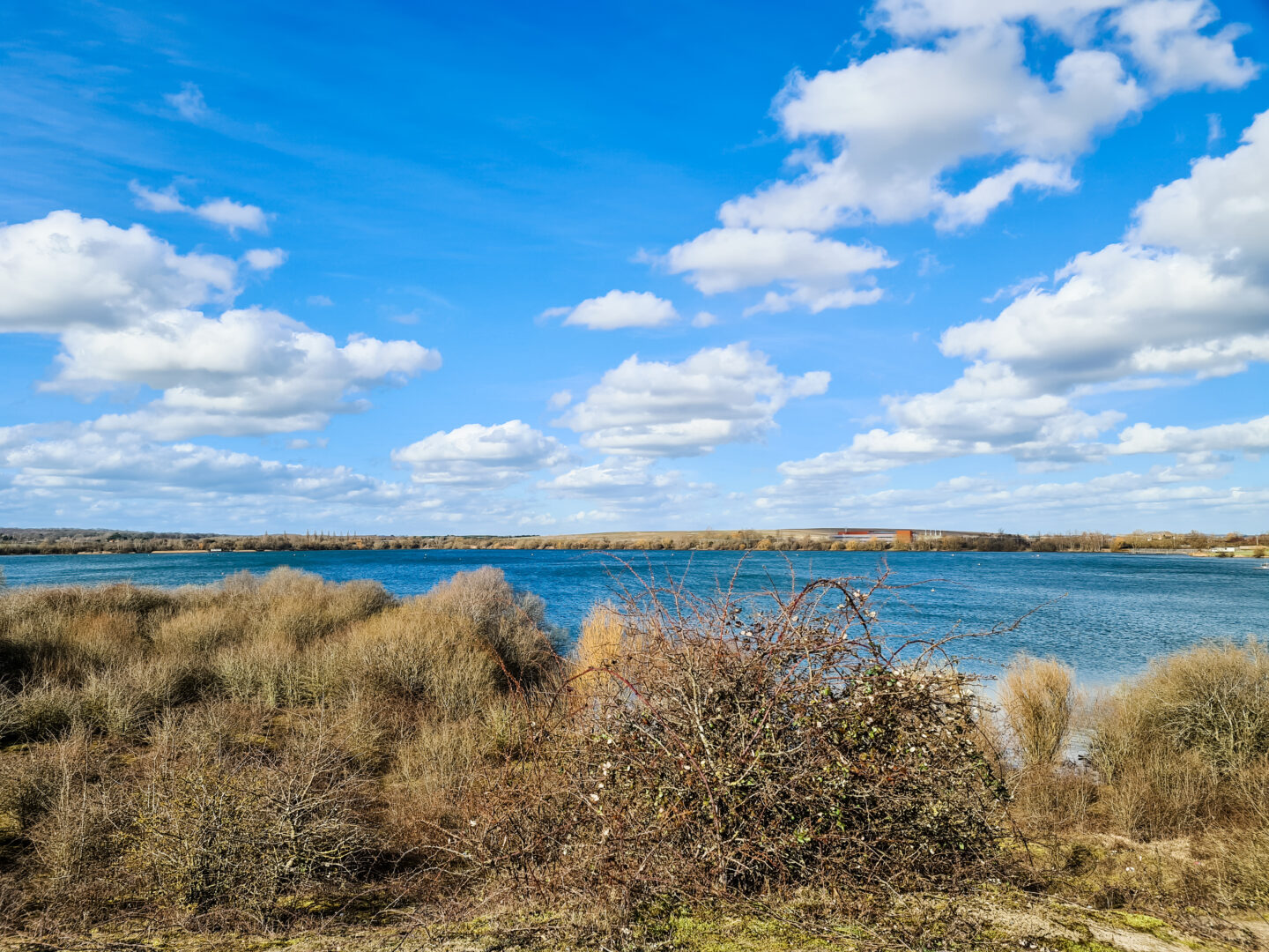 landscape of a lake, with brown shrubs in the foreground and a bright blue sky with white clouds