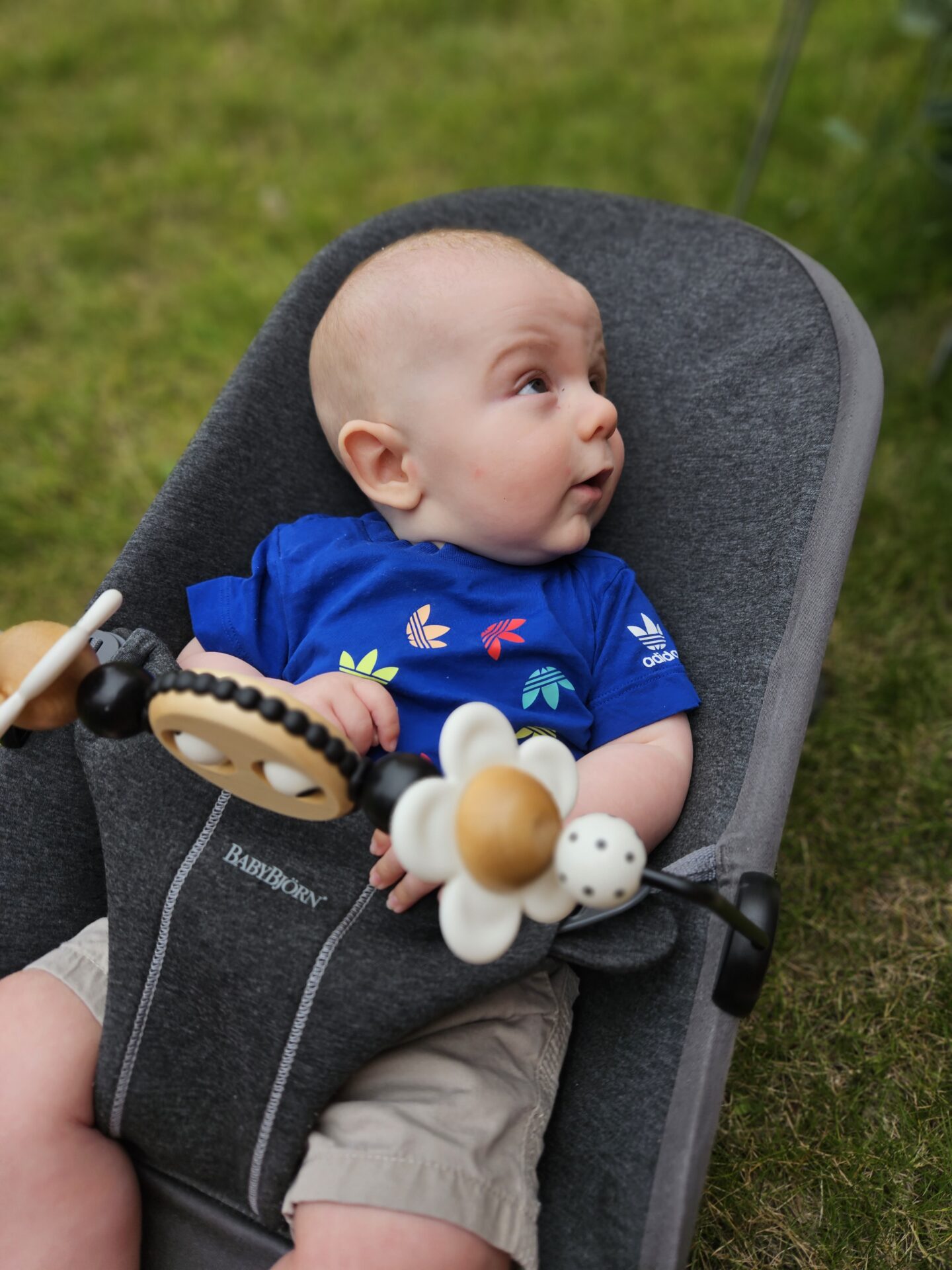 baby wearing blue adidas tshirt sitting in a Babybjorn grey bouncer