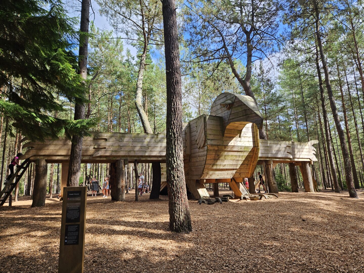 huge wooden play structure shaped like a hawk stands in a clearing in a forest