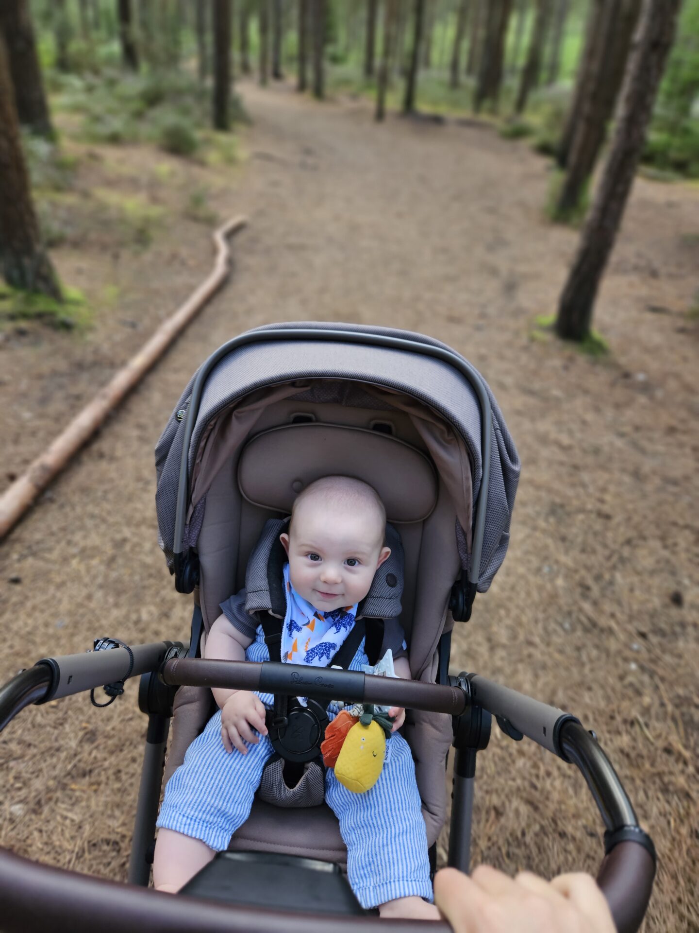 baby sits in a pushchair smiling at the camera as he is being pushed through a forest