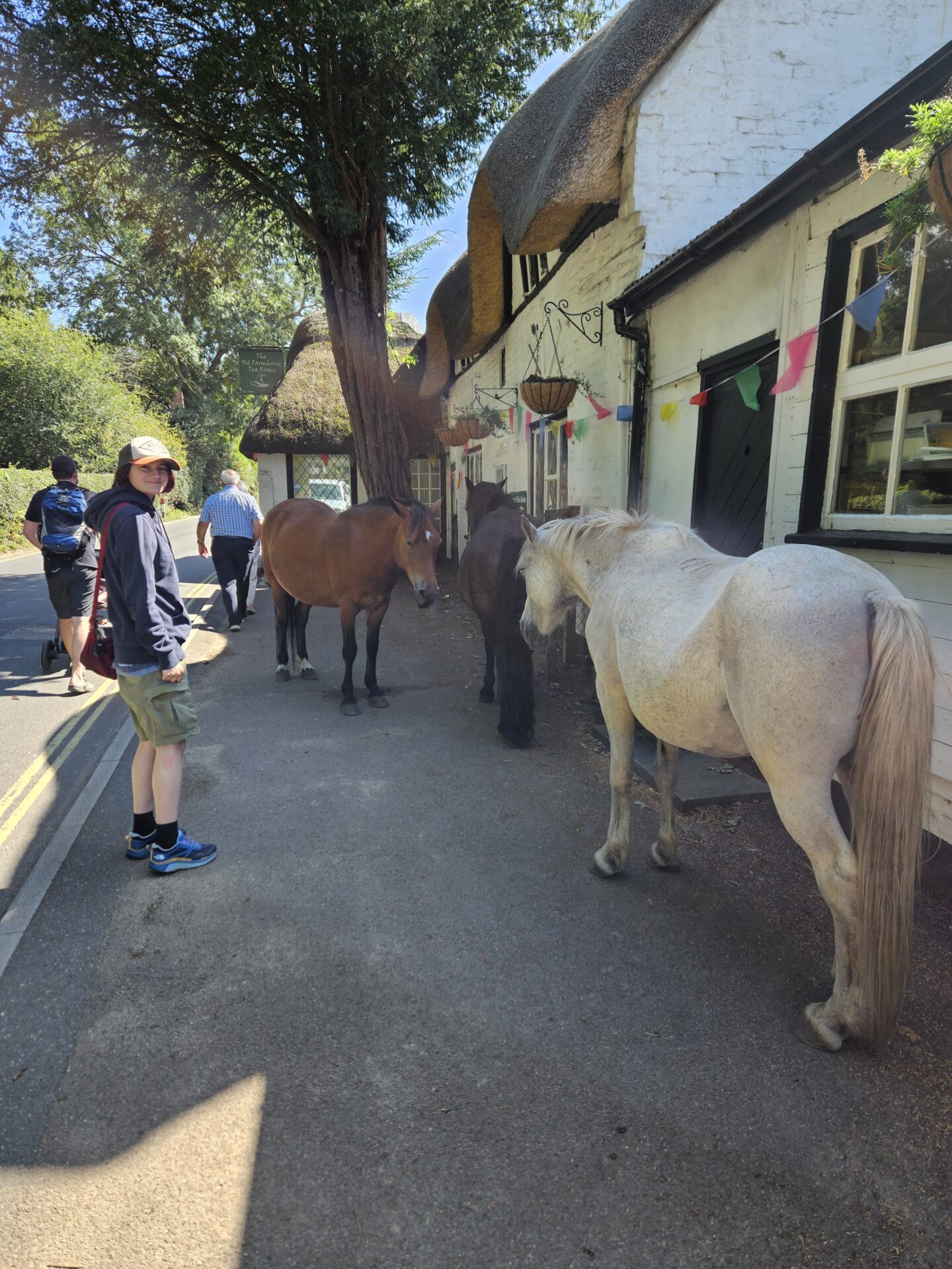 three New Forest ponies stand on the pavement next to a white building as people walk past